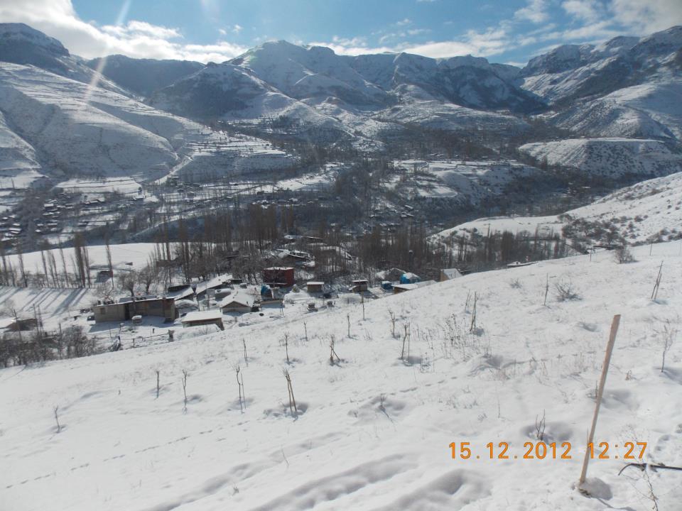 Tortum Dikmen Köyü Resimleri 5