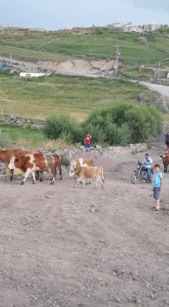 Damal Eskikılıç Köyü Resimleri 3