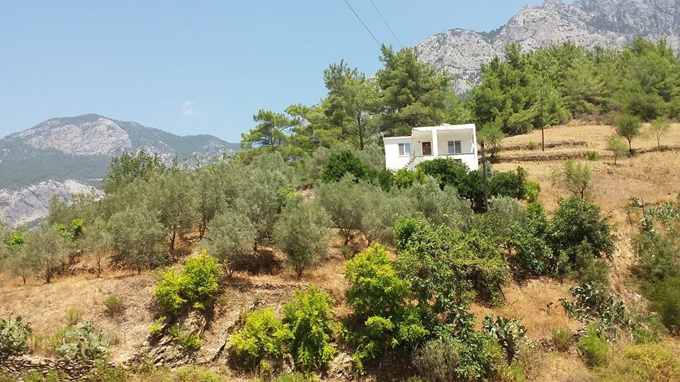 Antalya Alanya Sapadere Köyü Resimleri 17