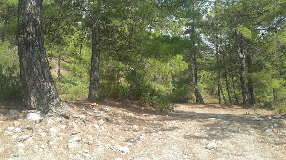 Antalya Alanya Sapadere Köyü Resimleri 2