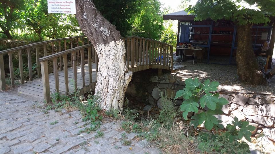 Antalya Alanya Sapadere Köyü Resimleri 20