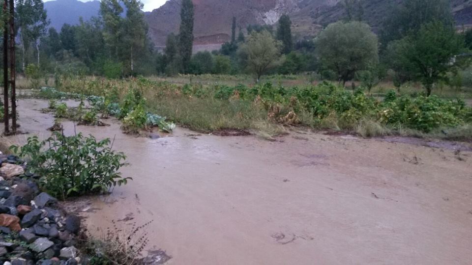 Tortum Doruklu Köyü Resimleri 4