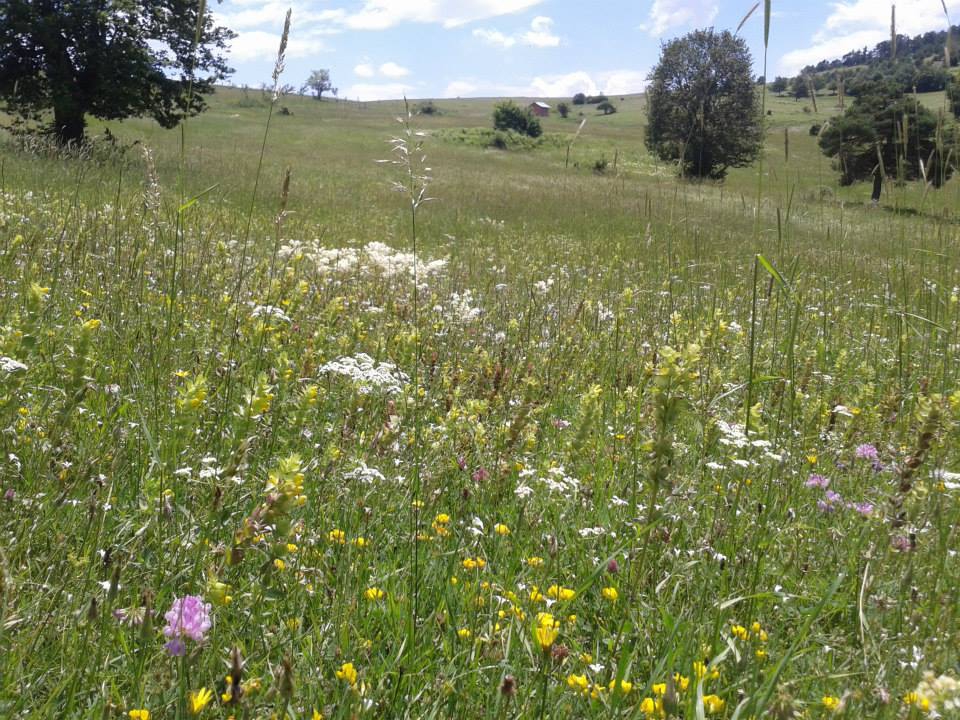 Antalya Alanya Şıhlar Köyü Resimleri 16