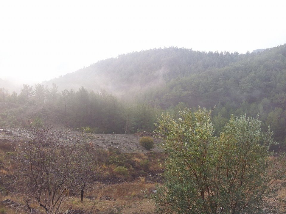 Antalya Alanya Şıhlar Köyü Resimleri 17