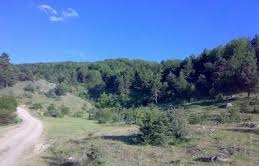 Gerede Ortaca Köyü Resimleri 1