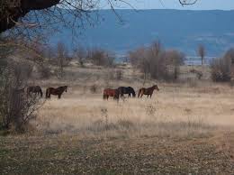 Gerede Ortaca Köyü Resimleri 5