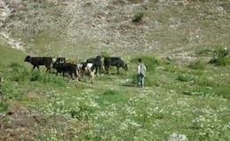 Gerede Salur Köyü Resimleri 14