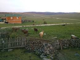 Gerede Salur Köyü Resimleri 2