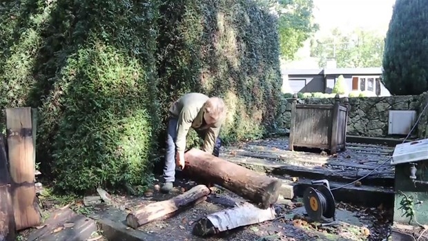 Ağaç Kütüğünden Öyle Bir şey Yaptı ki... 1