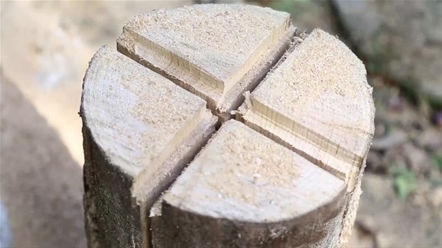 Ağaç Kütüğünden Öyle Bir şey Yaptı ki... 10