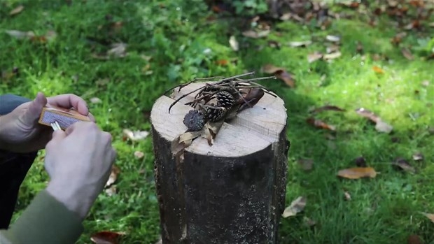 Ağaç Kütüğünden Öyle Bir şey Yaptı ki... 11