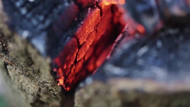 Ağaç Kütüğünden Öyle Bir şey Yaptı ki... 13