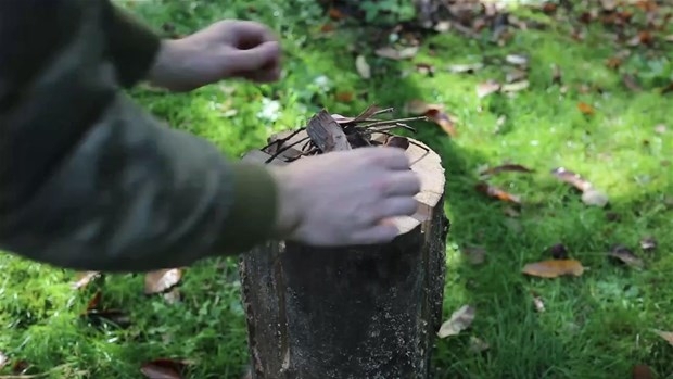Ağaç Kütüğünden Öyle Bir şey Yaptı ki... 14