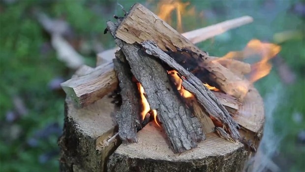 Ağaç Kütüğünden Öyle Bir şey Yaptı ki... 15