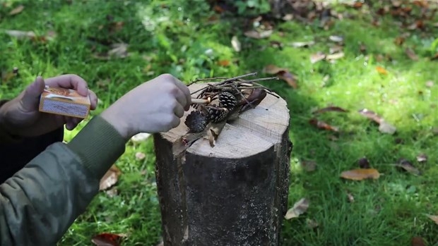 Ağaç Kütüğünden Öyle Bir şey Yaptı ki... 22