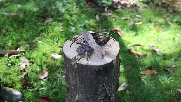 Ağaç Kütüğünden Öyle Bir şey Yaptı ki... 26