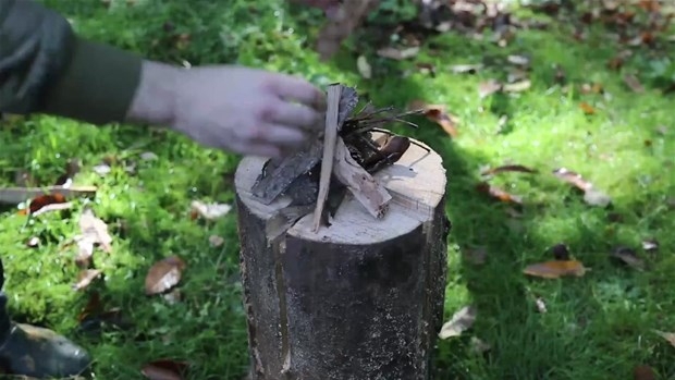 Ağaç Kütüğünden Öyle Bir şey Yaptı ki... 27