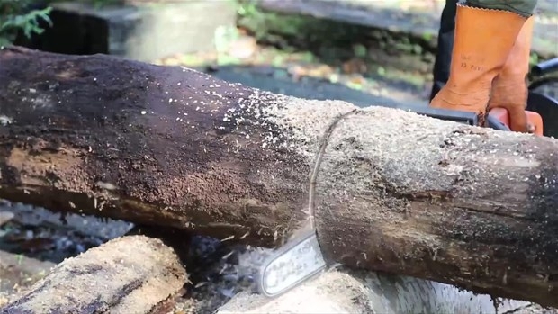 Ağaç Kütüğünden Öyle Bir şey Yaptı ki... 4