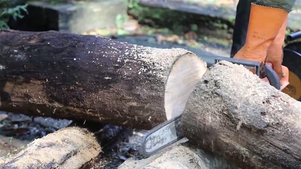 Ağaç Kütüğünden Öyle Bir şey Yaptı ki... 5