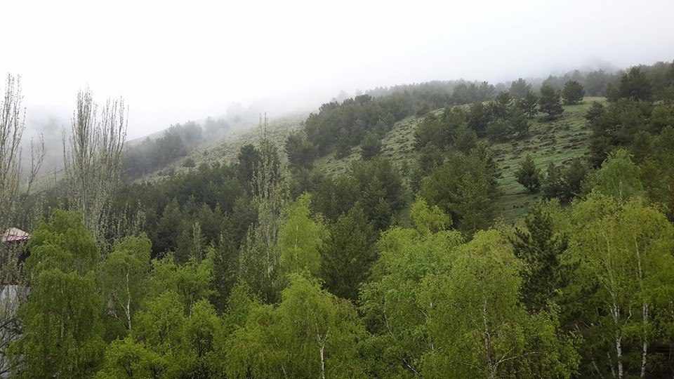 Tortum Kapıkaya Köyü Resimleri 4