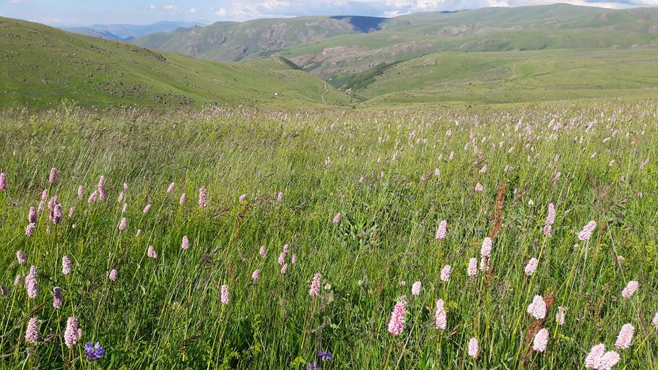 Tortum Kazandere Köyü Resimleri 3