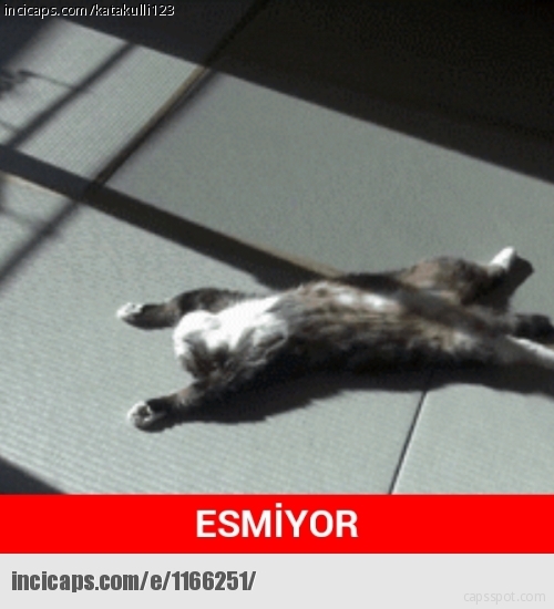 'Sıcak Hava' Capsleri 27