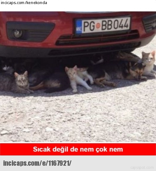'Sıcak Hava' Capsleri 36
