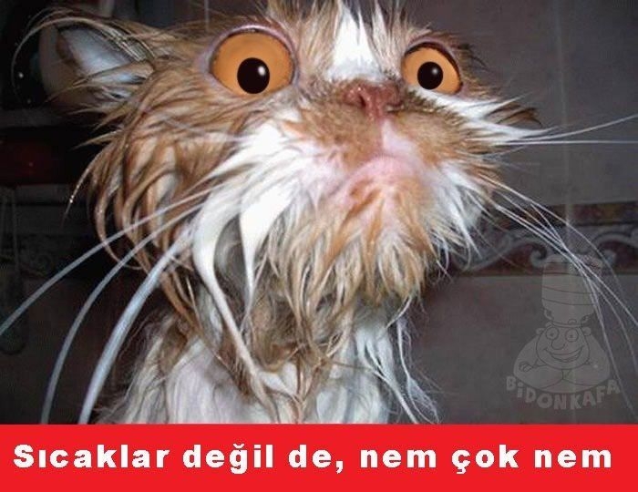 'Sıcak Hava' Capsleri 40