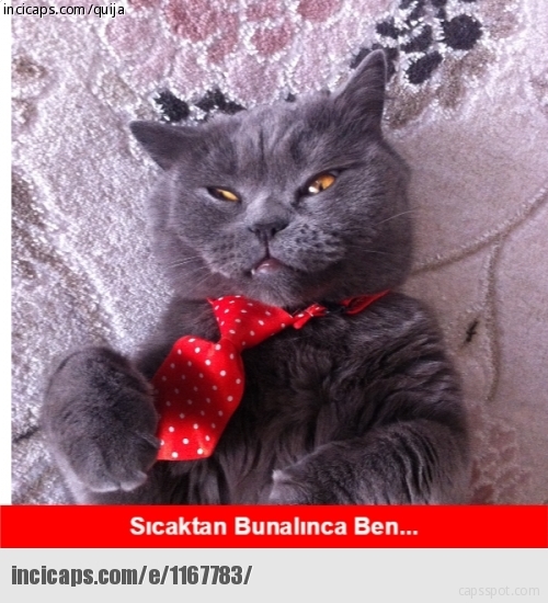 'Sıcak Hava' Capsleri 46