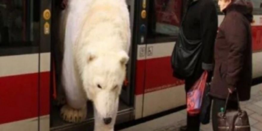 'Sıcak Hava' Capsleri