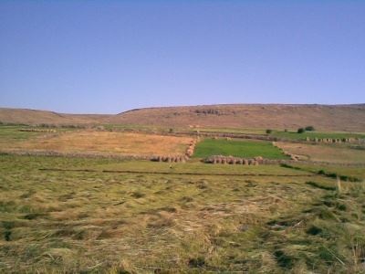 Tortum Meydanlar Köyü Resimleri 4