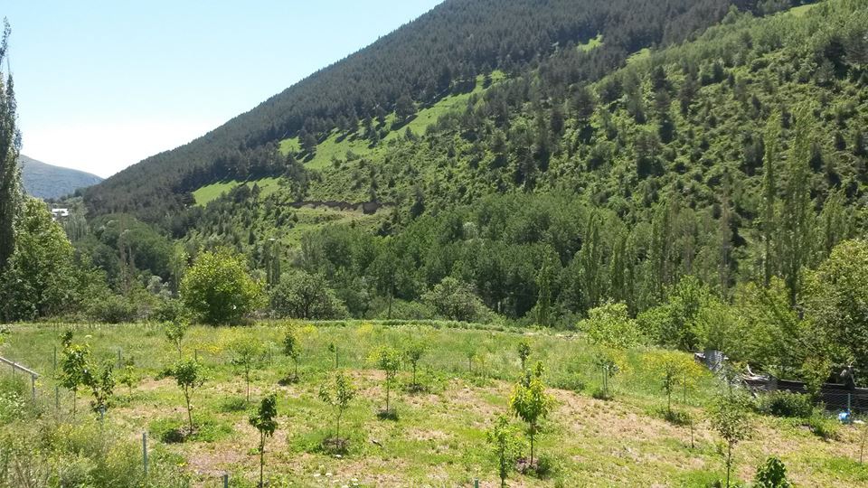 Tortum Uzunkavak Köyü Resimleri 2