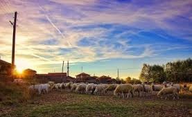 Gerede Yeşilvadi Köyü Resimleri 3