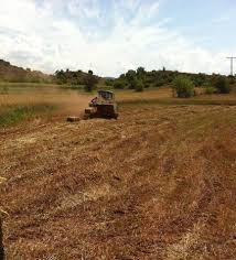 Göynük Ahmetbeyler Köyü Resimleri 2