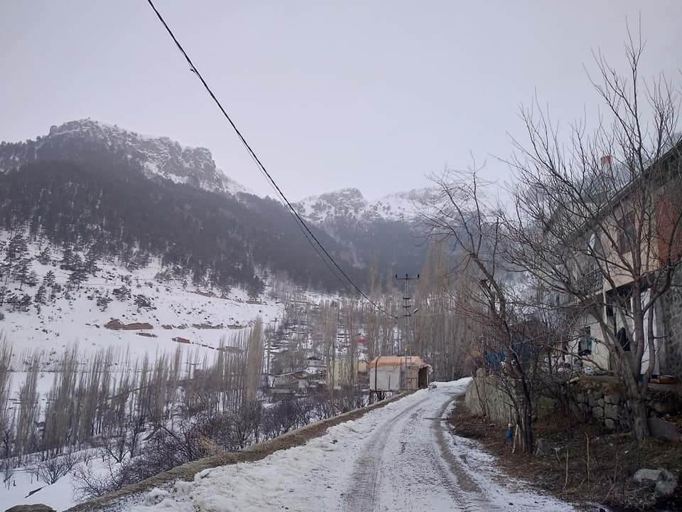 Tortum Yazyurdu Köyü Resimleri 5