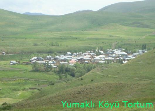 Tortum Yumaklı Köyü Resimleri 8