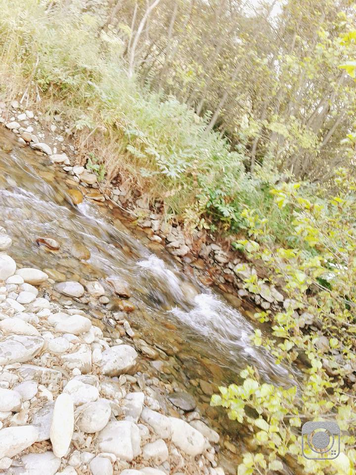 Giresun Alucra Fevzi Çakmak Köyü Reimleri 17