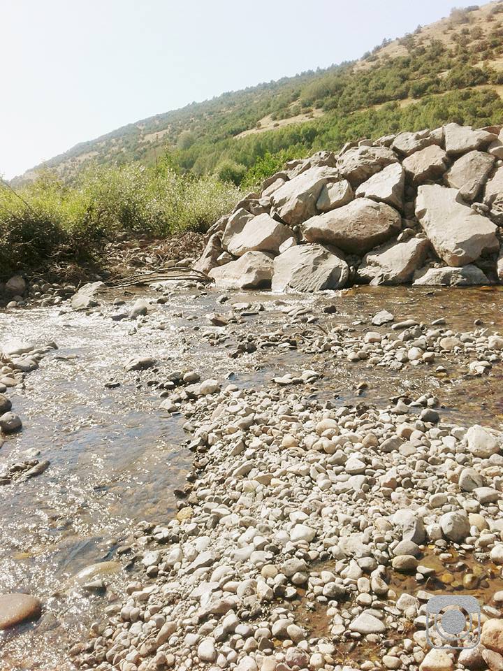 Giresun Alucra Fevzi Çakmak Köyü Reimleri 22