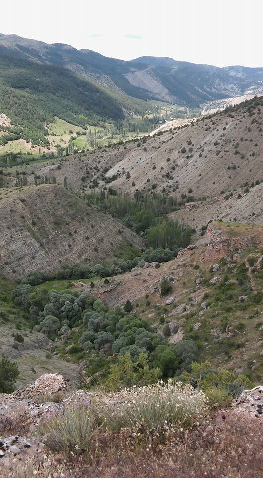 Giresun Alucra Fevzi Çakmak Köyü Reimleri 24