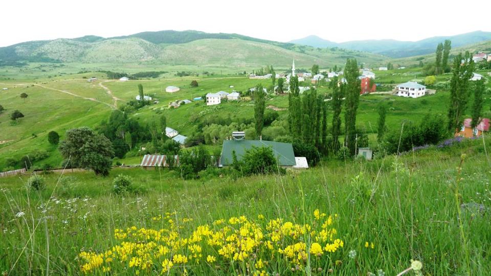 Giresun Alucra Fevzi Çakmak Köyü Reimleri 26