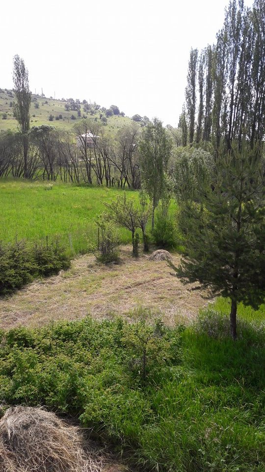 Giresun Alucra Fevzi Çakmak Köyü Reimleri 35