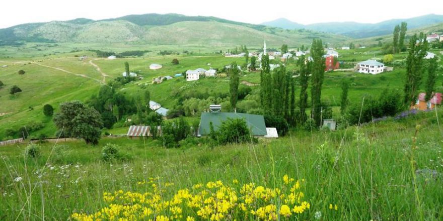 Giresun Alucra Fevzi Çakmak Köyü Reimleri