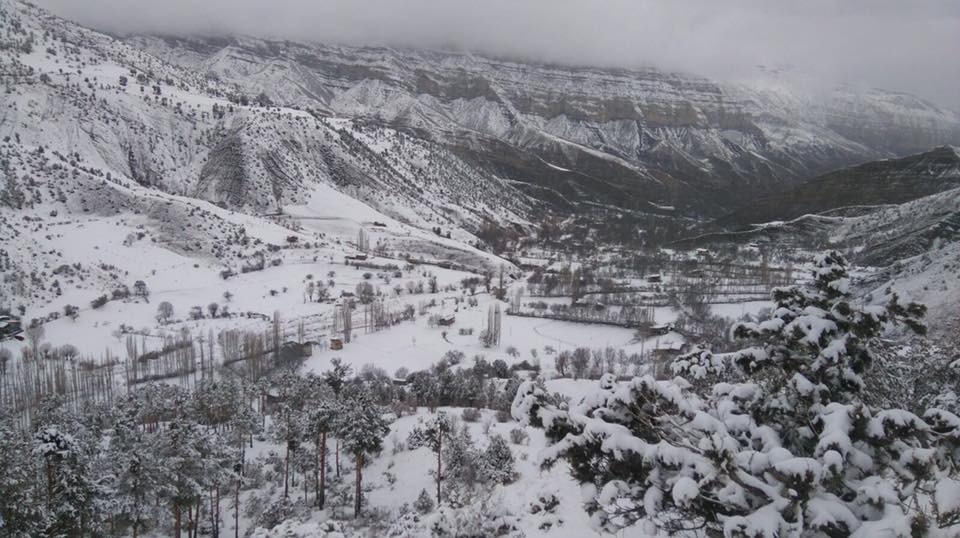 Uzundere Cevizli Köyü Resimleri 5