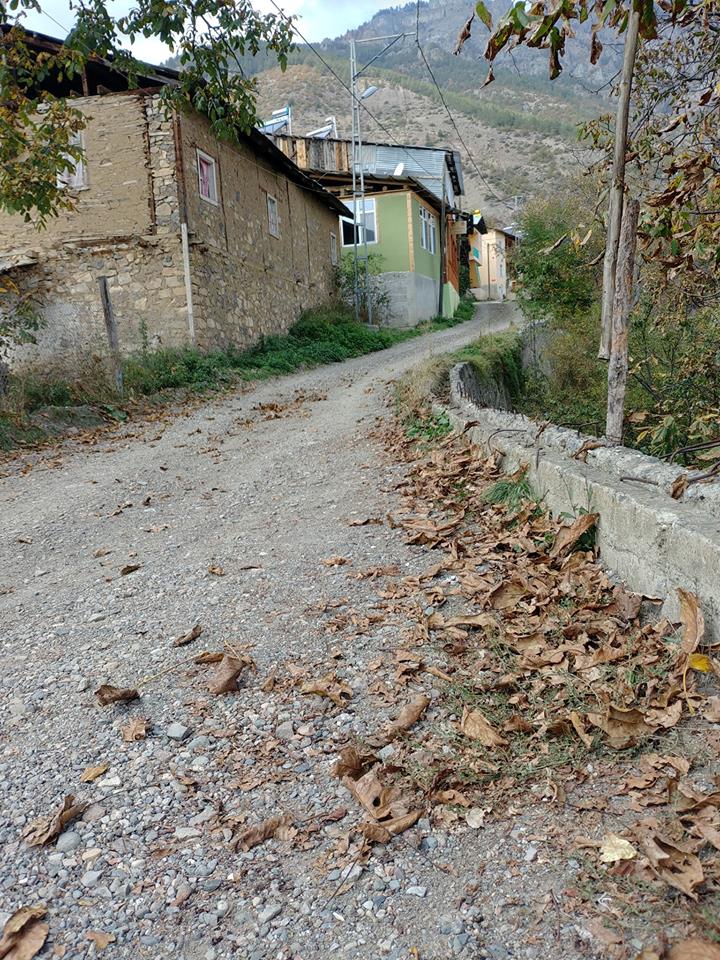 Uzundere Çamlıyamaç Köyü Resimleri 7