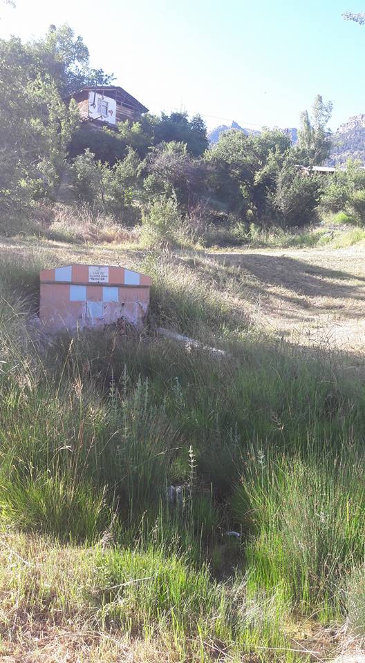 Uzundere Çamlıyamaç Köyü Resimleri 8