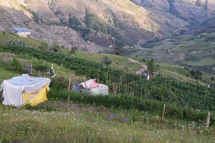 Uzundere Dikyar Köyü Resimleri 3