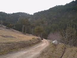 Göynük Akçaalan KöyüResimleri 8