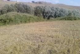 Göynük Alanköy Köyü Resimleri 5