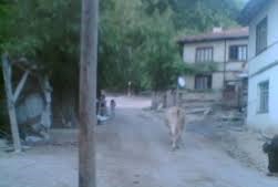 Göynük Arıkçayırı Köyü Resimleri 5