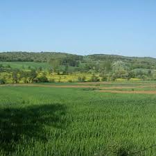 Göynük Boyacılar Köyü Resimleri 2